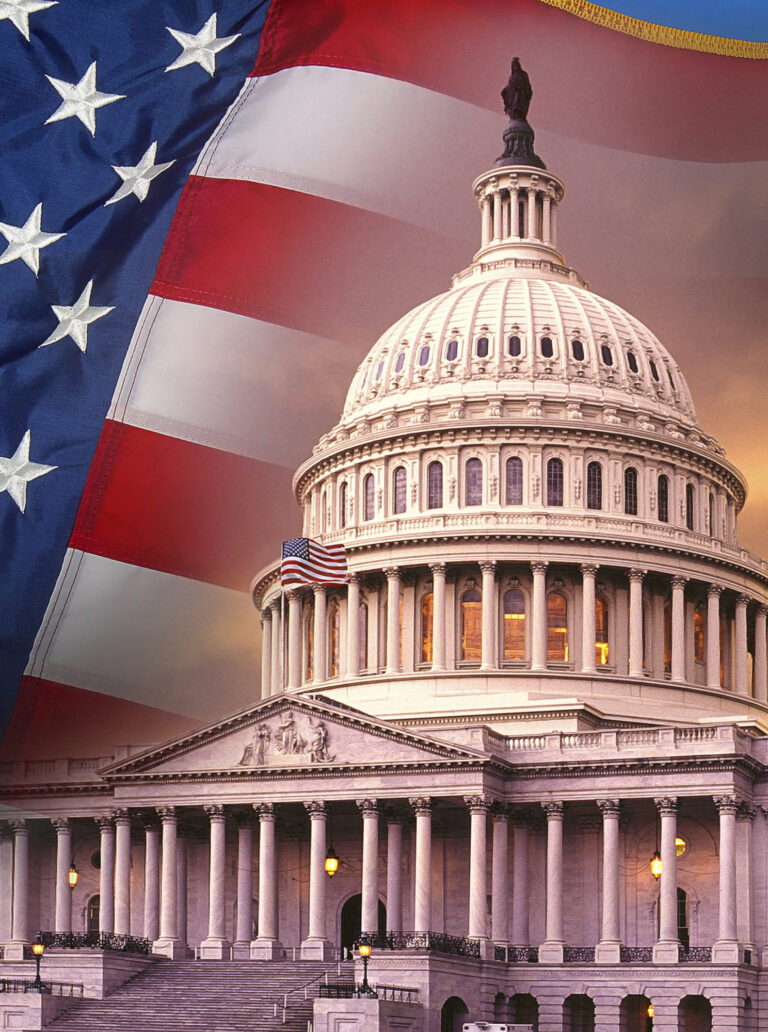 Mount Olive Democrats Condemn the Violent, Treasonous and Racist Acts of the President and his supporters and Call for Justice