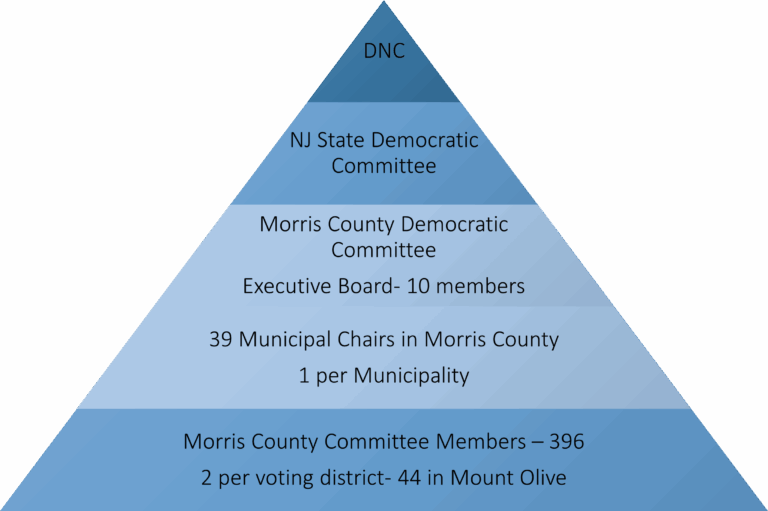 What is a County Committee Member?